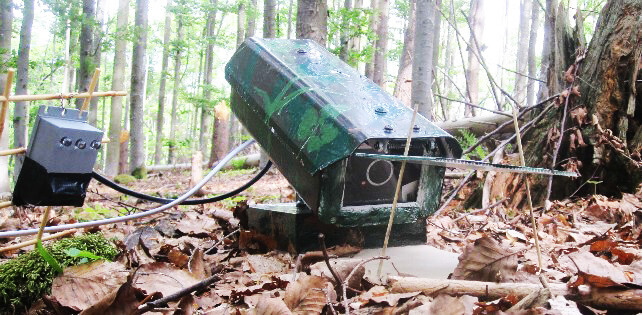 Videoüberwachung Wald