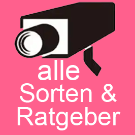 Ratgeber Überwachungskameras