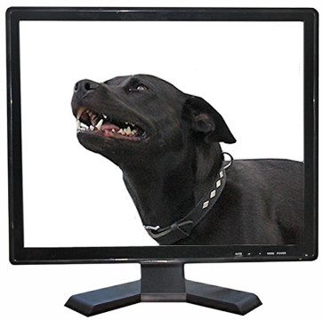 TosiVision 48 cm / 19" LCD-Monitor "TV-Niveau" Video & VGA