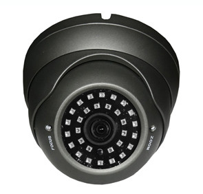 TosiDome SONY® Exmor™ 1080p  ExSDI-IR-Dome-Kamera silber-grau