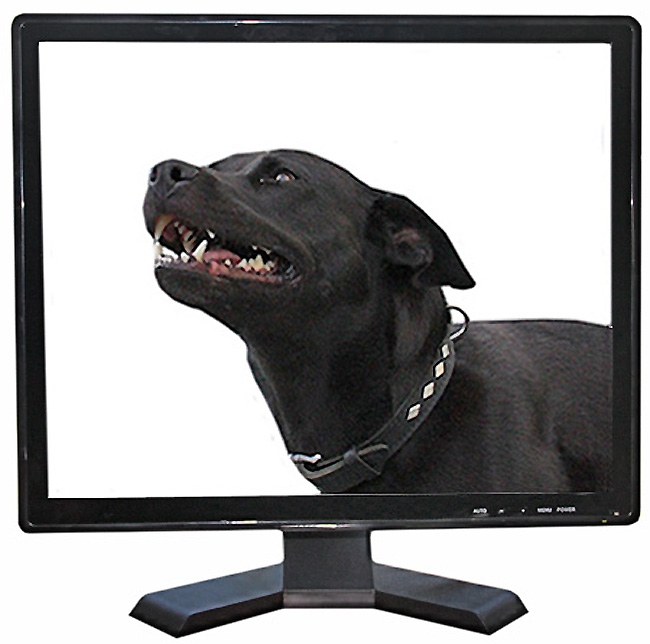 TosiVision 54,6 cm / 21 Metall-LCD-Monitor, HDMI/VGA/Video IN - Monitore -  Zubehör - Überwachungskameras